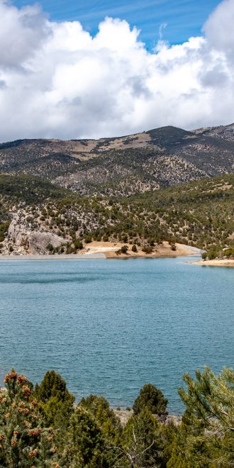 View of Cave Lake in Ely, Nevada through grove of trees