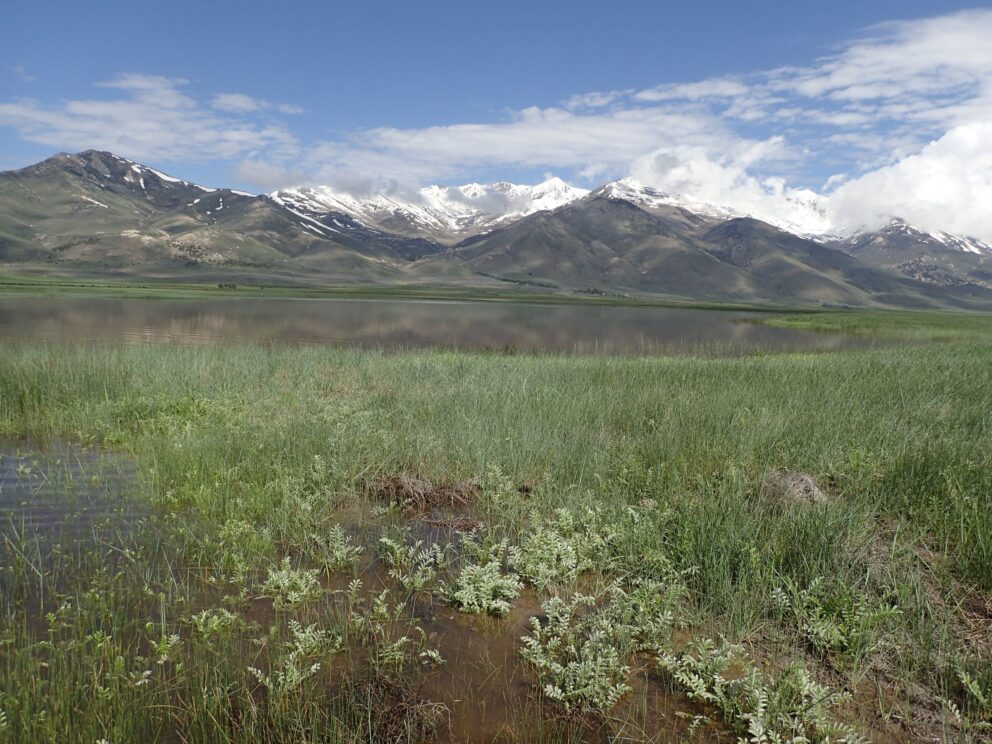 Lake surrounded by snowcapped mountains at Franklin Lake Wildlife Management Area