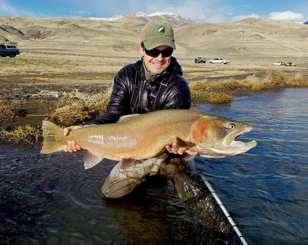 Lahontan Cutthroat Trout
